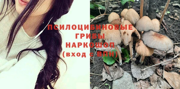 твердый Михайловка
