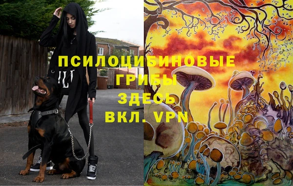 молекула духа Михайловск