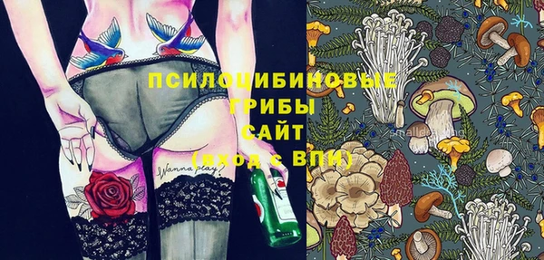 твердый Михайловка