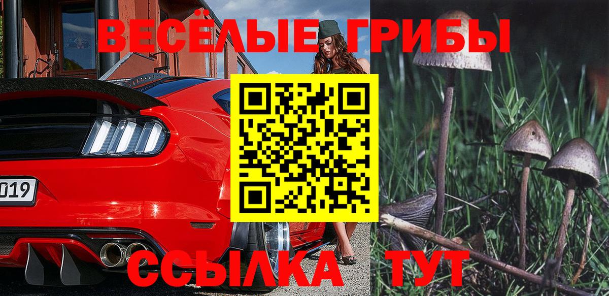 Наро-Фоминск  Псилоцибиновые грибы Psilocybe  Вход с VPN 